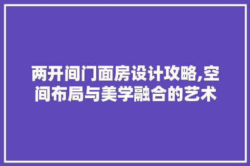两开间门面房设计攻略,空间布局与美学融合的艺术