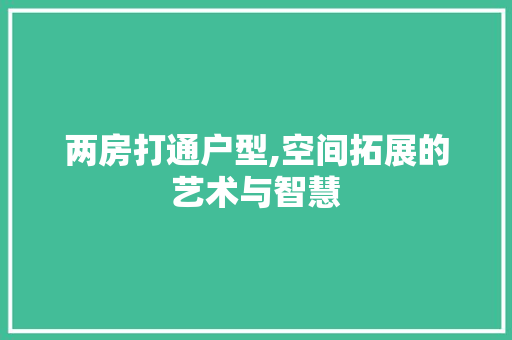 两房打通户型,空间拓展的艺术与智慧