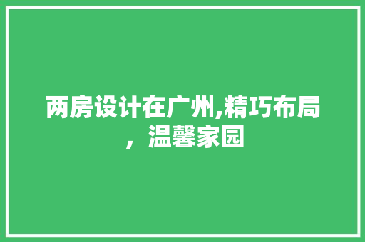 两房设计在广州,精巧布局，温馨家园