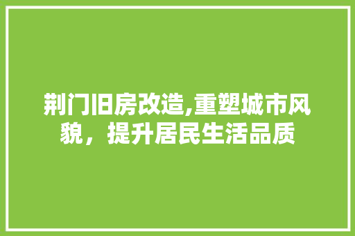 荆门旧房改造,重塑城市风貌，提升居民生活品质