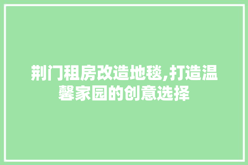 荆门租房改造地毯,打造温馨家园的创意选择