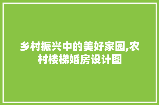 乡村振兴中的美好家园,农村楼梯婚房设计图