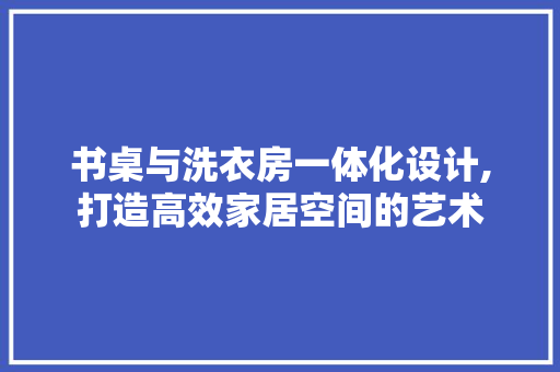 书桌与洗衣房一体化设计,打造高效家居空间的艺术