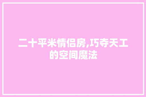 二十平米情侣房,巧夺天工的空间魔法