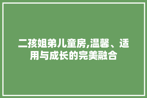 二孩姐弟儿童房,温馨、适用与成长的完美融合