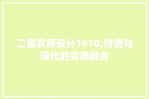二屋农房设计1610,传统与现代的完美融合