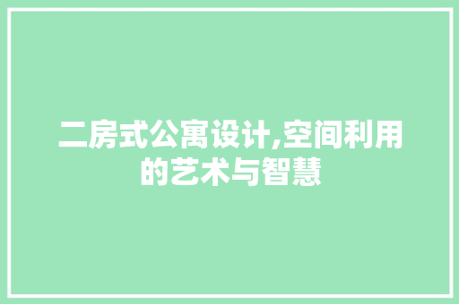 二房式公寓设计,空间利用的艺术与智慧