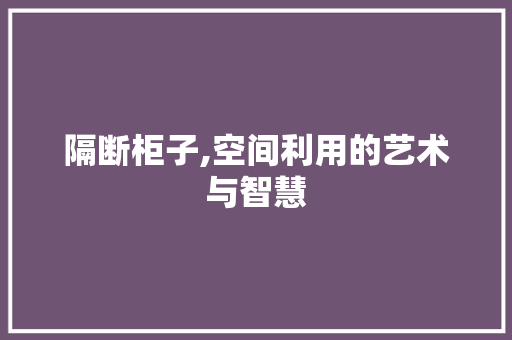 隔断柜子,空间利用的艺术与智慧