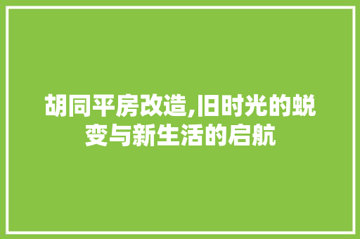 胡同平房改造,旧时光的蜕变与新生活的启航