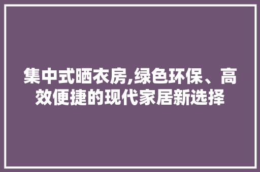 集中式晒衣房,绿色环保、高效便捷的现代家居新选择