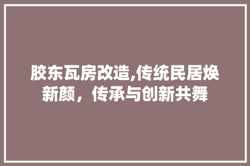 胶东瓦房改造,传统民居焕新颜，传承与创新共舞