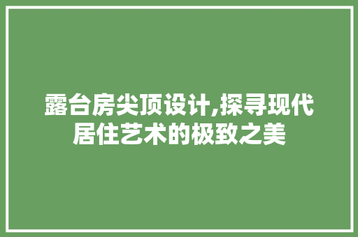露台房尖顶设计,探寻现代居住艺术的极致之美