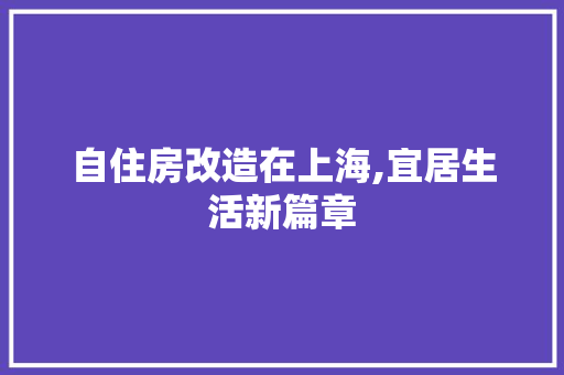 自住房改造在上海,宜居生活新篇章
