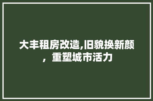 大丰租房改造,旧貌换新颜，重塑城市活力