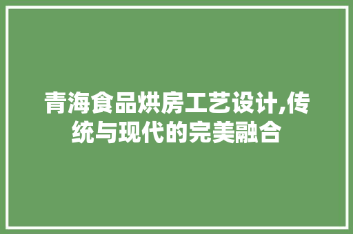 青海食品烘房工艺设计,传统与现代的完美融合