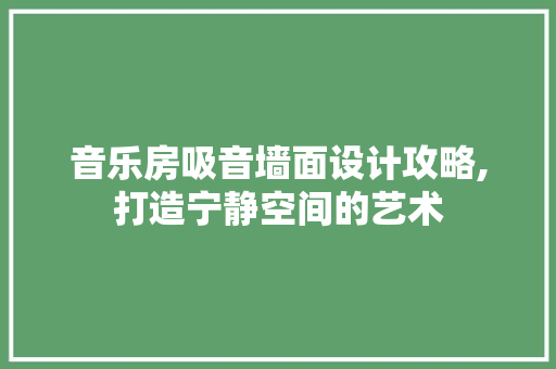 音乐房吸音墙面设计攻略,打造宁静空间的艺术