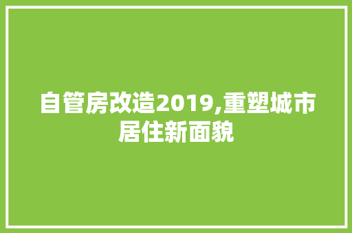 自管房改造2019,重塑城市居住新面貌