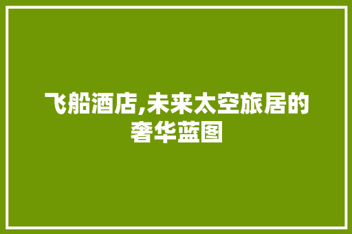 飞船酒店,未来太空旅居的奢华蓝图