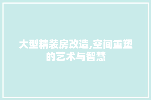 大型精装房改造,空间重塑的艺术与智慧