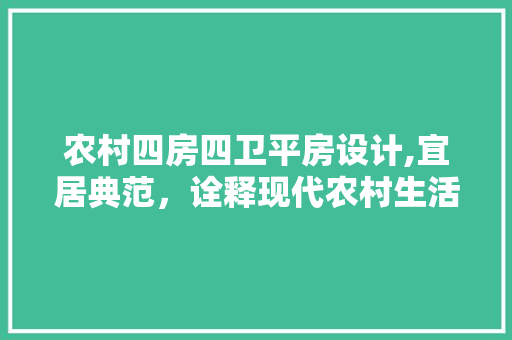 农村四房四卫平房设计,宜居典范，诠释现代农村生活新风尚