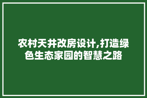 农村天井改房设计,打造绿色生态家园的智慧之路
