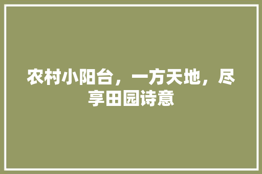 农村小阳台，一方天地，尽享田园诗意