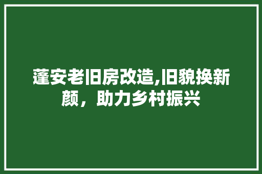 蓬安老旧房改造,旧貌换新颜，助力乡村振兴