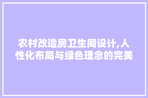 农村改造房卫生间设计,人性化布局与绿色理念的完美融合