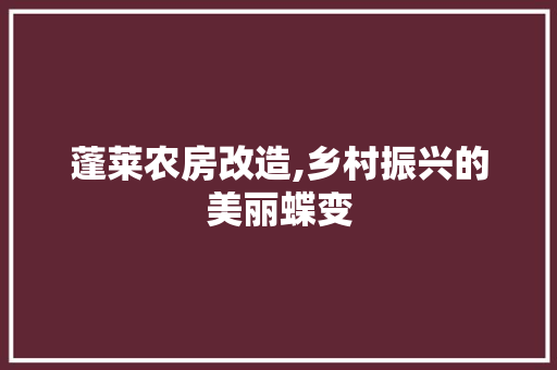 蓬莱农房改造,乡村振兴的美丽蝶变