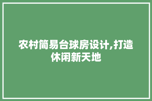 农村简易台球房设计,打造休闲新天地