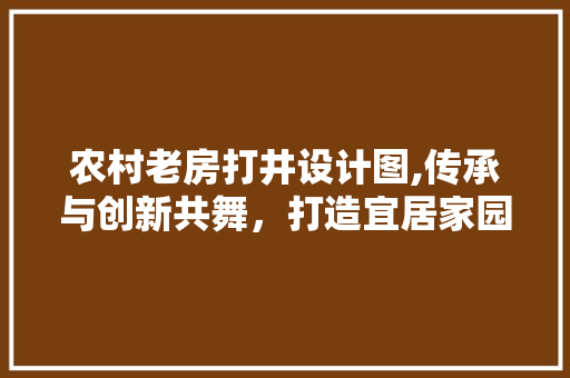 农村老房打井设计图,传承与创新共舞，打造宜居家园