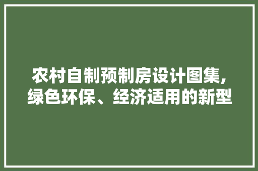 农村自制预制房设计图集,绿色环保、经济适用的新型住房选择