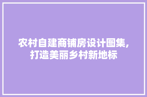 农村自建商铺房设计图集,打造美丽乡村新地标