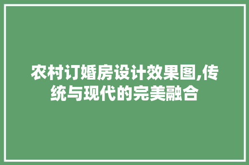 农村订婚房设计效果图,传统与现代的完美融合
