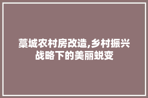 藁城农村房改造,乡村振兴战略下的美丽蜕变
