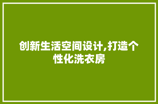 创新生活空间设计,打造个性化洗衣房