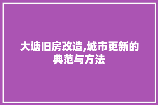 大塘旧房改造,城市更新的典范与方法