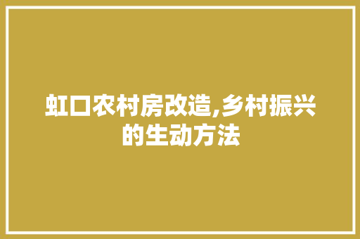 虹口农村房改造,乡村振兴的生动方法