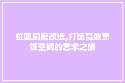 虹吸厨房改造,打造高效烹饪空间的艺术之旅