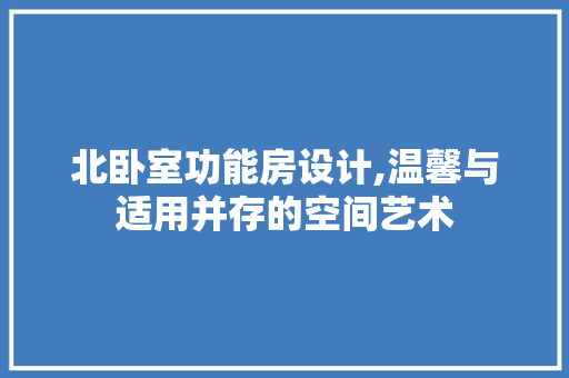 北卧室功能房设计,温馨与适用并存的空间艺术