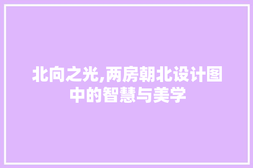 北向之光,两房朝北设计图中的智慧与美学