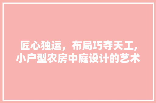 匠心独运，布局巧夺天工,小户型农房中庭设计的艺术探析