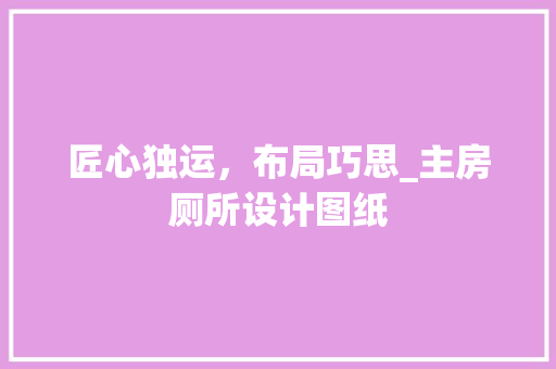 匠心独运，布局巧思_主房厕所设计图纸