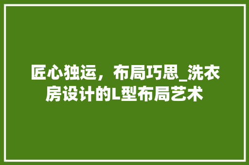 匠心独运，布局巧思_洗衣房设计的L型布局艺术