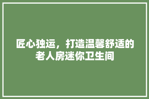 匠心独运，打造温馨舒适的老人房迷你卫生间