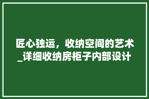 匠心独运，收纳空间的艺术_详细收纳房柜子内部设计图
