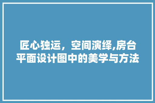 匠心独运，空间演绎,房台平面设计图中的美学与方法