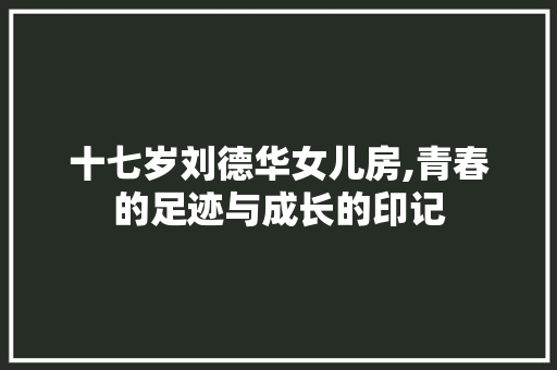 十七岁刘德华女儿房,青春的足迹与成长的印记