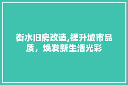 衡水旧房改造,提升城市品质，焕发新生活光彩
