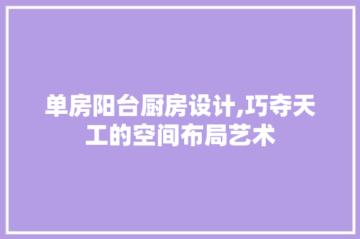 单房阳台厨房设计,巧夺天工的空间布局艺术